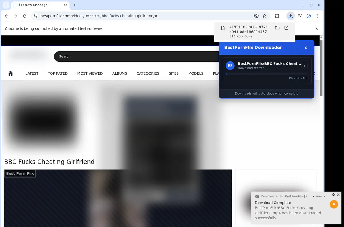Bestpornflix Video Downloader browser extension screenshot 2