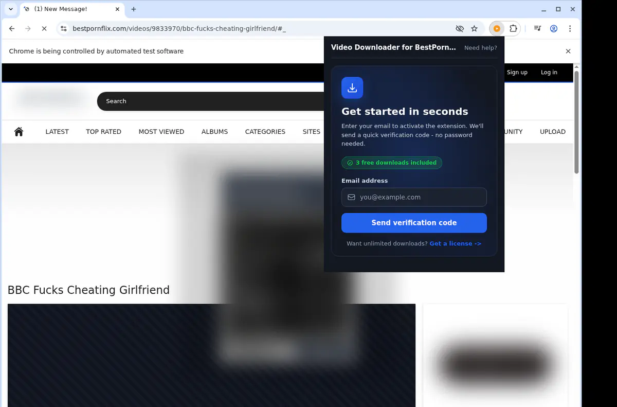Bestpornflix Video Downloader browser extension screenshot 4